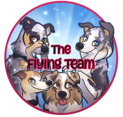 The Flying Team